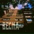 Весна 310