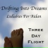 Three Day Flight