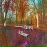Planetopia