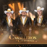 Los Caballeros de California