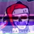 Ошибка Снека