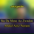 Abdul Aziz Norani