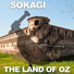 Sokagi