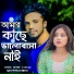 Monir Sarkar