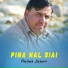 Phulzaib Hazarvi
