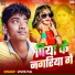 Vivek Pal