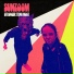 Sunzoom