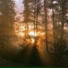 sunfade