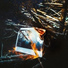 Avalanche Effect
