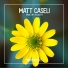 Matt Caseli