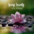 Spring has Sprung