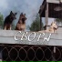 Андрей Оршуляк