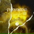 phenomeno