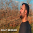 Grup Serdem