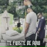Shory Sureño, OD 451