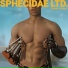 Sphecidae Ltd.