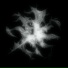 NTLXSQ?, 1NZZiDENT, netlxcore