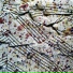 Paul Motian Trio