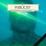 Publicist