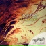 Vostro