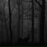 Tenebrax