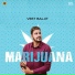 Veet Baljit, Deep Jandu
