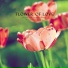 Flower Garden
