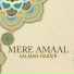 Salman Haider