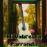 Grupo Fantasía, Grupo Nueva Vida