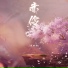 戴羽彤