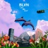 BLVN