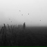 dead end