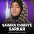 Syeda Areeba Fatima