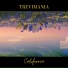 TreviMania