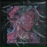 Rolince