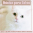 RelaxMyCat
