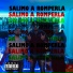 ThaysonMVP feat. Gamadiel, Trobe Singer