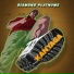 Diamond Platnumz