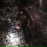 LONELYPLUG