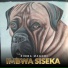 Zimba Magodi