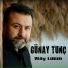 Günay Tunç