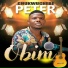 Chukwuchebem Peter