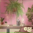 pillow hop, Cozy, Cozy Lofi