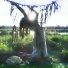 deathposture