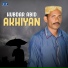 Hubdar Abid