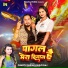 Chhotu Shikari, Shilpi raj