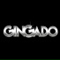 GRUPO GINGADO