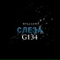 G134
