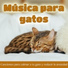 Cat Music Dreams, RelaxMyCat