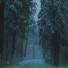 calmdreams